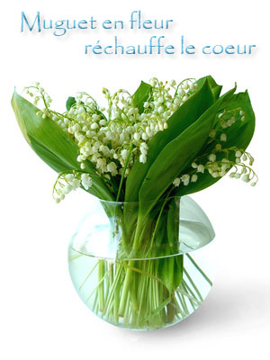 carte Muguet en fleur réchauffe le coeur