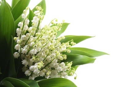 carte Un bouquet de muguet pour le 1er mai