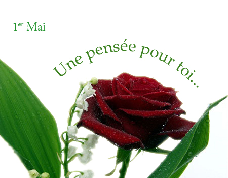 carte Une pensée pour toi...