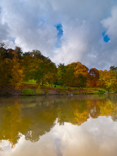 carte Paysage d'automne