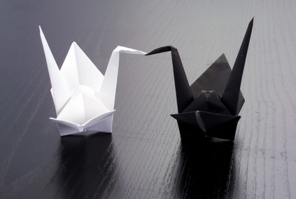 carte Origami cygnes