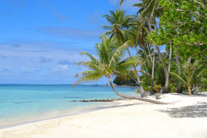 carte Sable, mer et palmiers