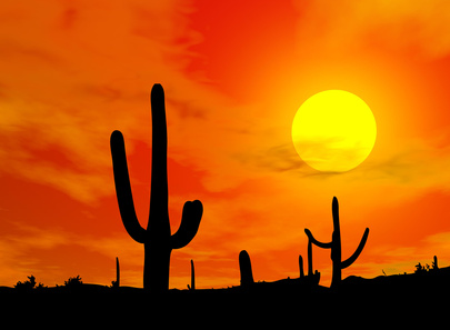 carte Désert et cactus sous un coucher de soleil. 