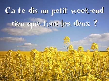 carte Week end amoureux ?