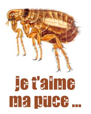 carte aimer (aimer01.jpg)