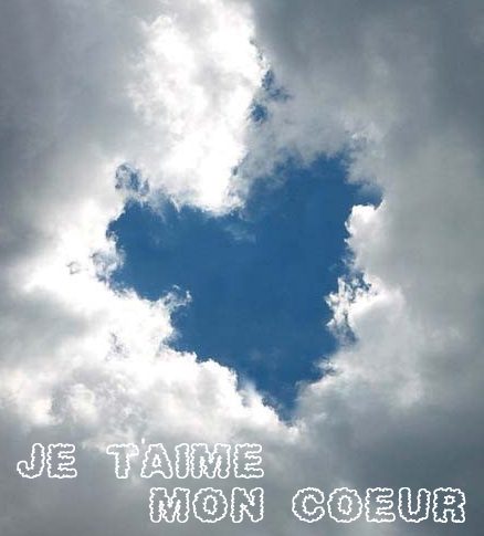 carte aimer (aimer04.jpg)