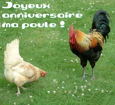 carte anniversaire (anniversaire03.jpg)