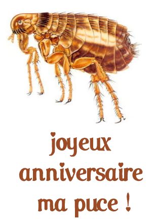 carte anniversaire (anniversaire06.jpg)