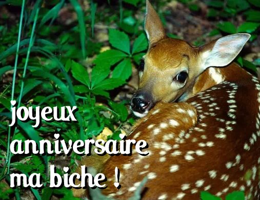 carte anniversaire (anniversaire07.jpg)