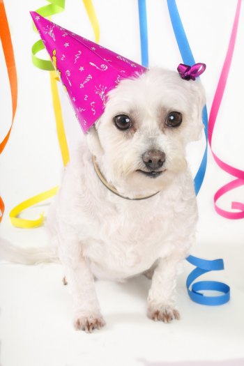 carte anniversaire (anniversaire16.jpg)