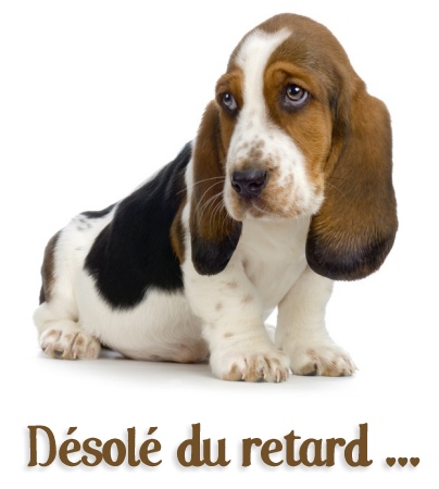 carte anniversaireenretard (anniversaireenretard02.jpg)
