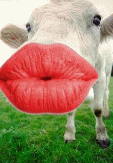 carte bisous (bisous03.gif)