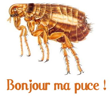 carte bonjour (bonjour01.jpg)
