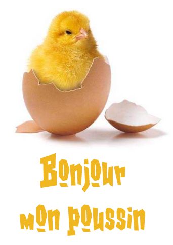 carte bonjour (bonjour05.jpg)