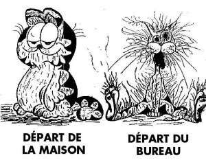 carte bureau (bureau12.jpg)