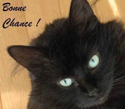 carte chance (chance05.jpg)