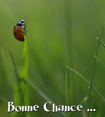 carte chance (chance08.jpg)