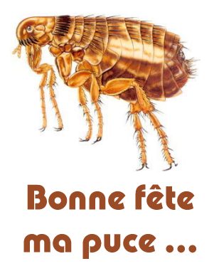 carte fete (fete18.jpg)