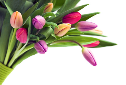 carte Un bouquet de tulipes