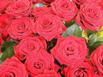 carte fleurs (fleurs02.jpg)