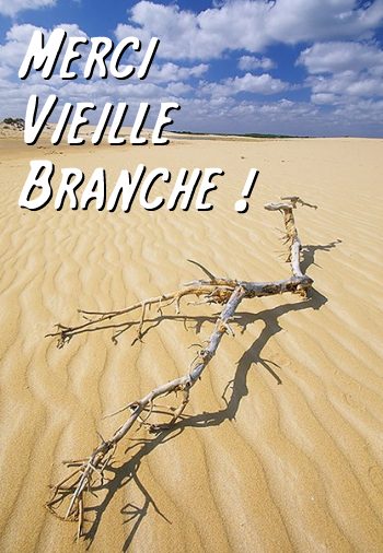 carte merci (merci06.jpg)
