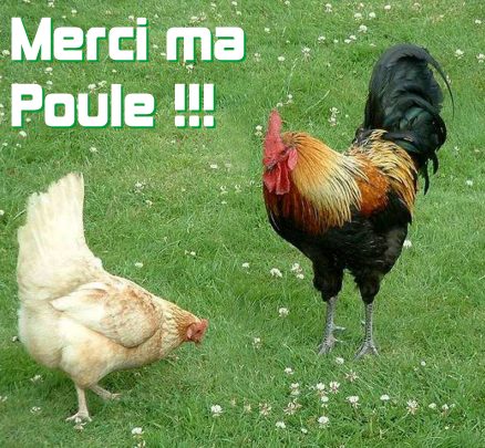 carte merci (merci11.jpg)