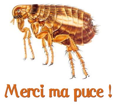 carte merci (merci13.jpg)