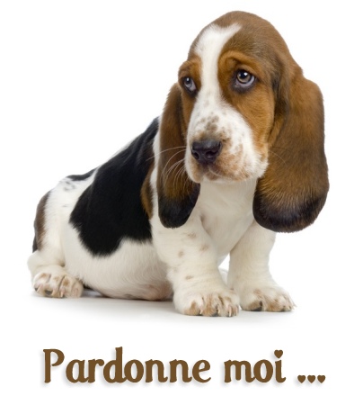 carte pardon (pardon01.jpg)