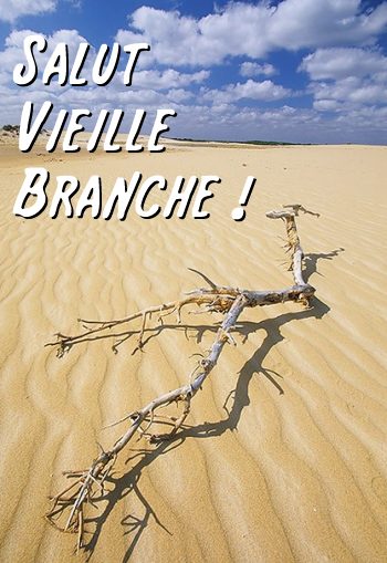 carte salut (salut03.jpg)